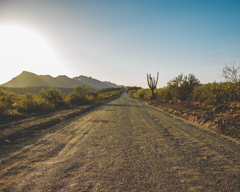 diminishing perspective, dirt road, plant, 4K, long, united states, sunlight, tree, mountain, lonely, transportation, beauty in nature, sky, offroad, lake pleasant