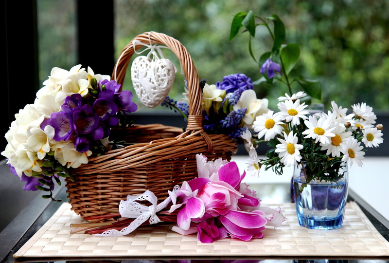 cyclamen, flowers, camomiles, 2K, wicker basket, hyacinths