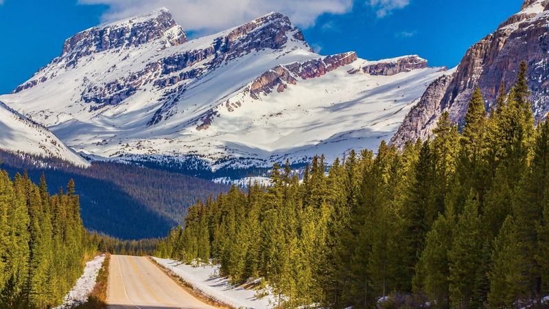 scenics - nature, tranquility, mountains, pine tree, tranquil scene, road, non-urban scene, winter, sky, snow, beauty in nature, mountain peak, 1080P