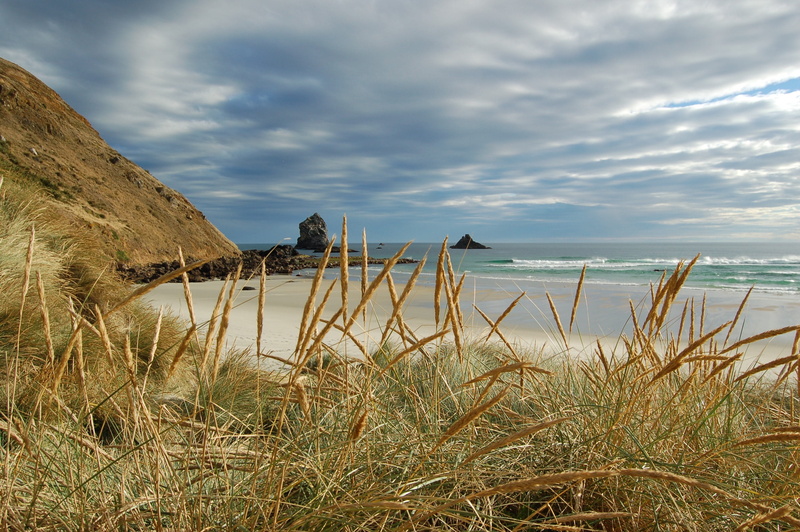 tranquility, cloud - sky, water, dunedin, non-urban scene, beauty in nature, rocks, new zealand, growth, ocean, landscape, 2K, mountains, horizon over water
