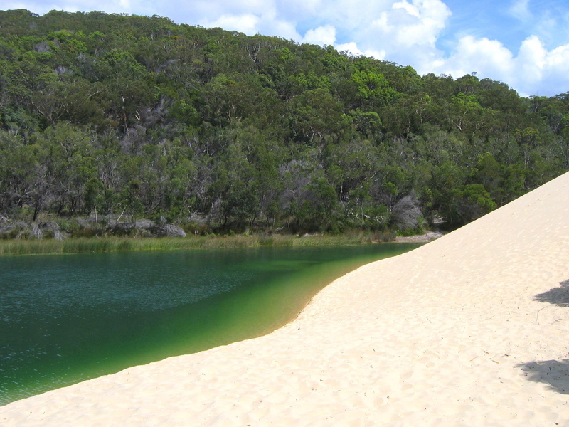 fraser island, tropical, beach, fraser, 1080P, isl, 3d and abstract, sand, australia, green water