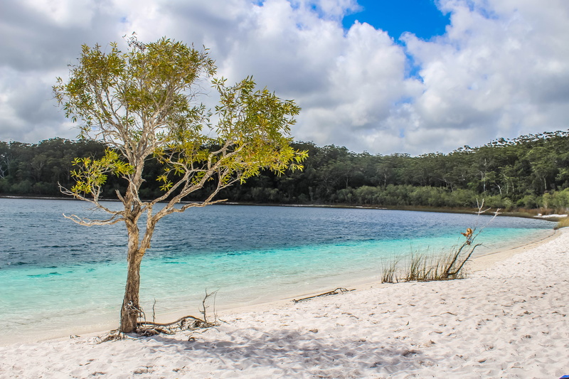 water, no people, wooden, nature, tranquil scene, ocean, tropical Climate, travel, sand, shore, tropical, coast, horizon, turquoise, 5K, day, pier, idyllic
