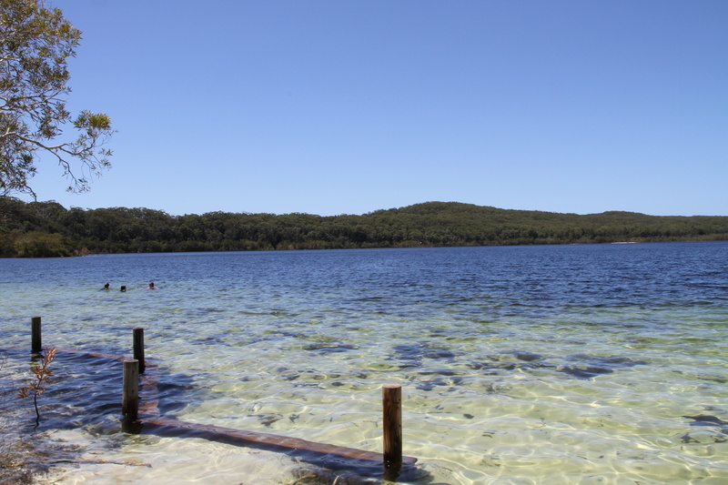 clear sky, blue, outdoors, spring, nature, no people, beauty in nature, travel destinations, australia, west australia, tranquil scene, tree, 5K, plant