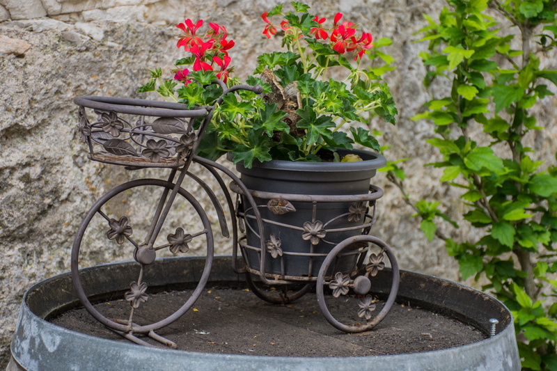 juguetes, vintage, vulnerability, flower head, 5K, flower, growth, nature, tonel, no people, freshness, bicicleta, fragility, outdoors, green color, flower pot
