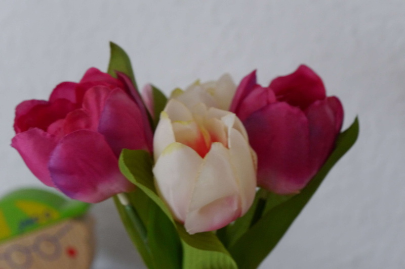 flower arrangement, close-up, 4K, pink color, plant, freshness, inflorescence, flowering plant, tulpe, nature, flower head, vulnerability, tulip, beauty in nature