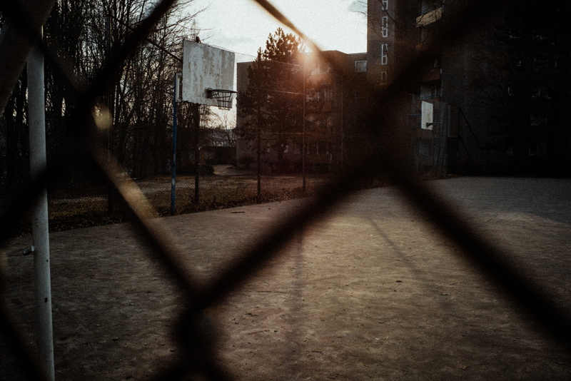 house, built structure, nature, germany, lookthrough, leica m, tree, alley, hood, window, shadow, residential district, architecture, leica, road, cold