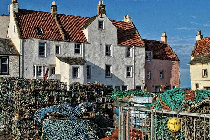 no people, animal themes, bird, city, fife, built structure, sunlight, pittenweem harbour, united kingdom, nature, house, animal, architecture, scotland