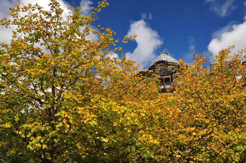 low angle view, scotland, growth, autumn, outdoors, sky, no people, cloud - sky, fife, nature, springtime, holidays, architecture, day, old, building exterior