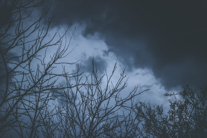 day, scenics - nature, non-urban scene, pc, tranquil scene, overcast, trees, woods, silhouette, 5K, canon, mac, sky, beauty in nature
