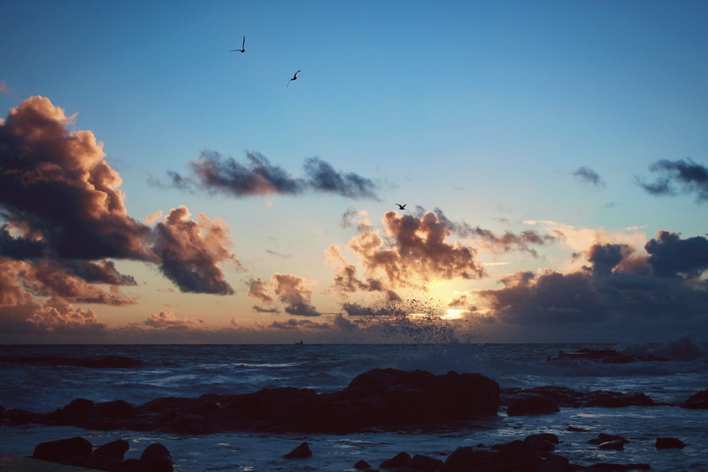clouds, atlanticocean, tranquility, ocean, horizon, nature, sunset, animal wildlife, scenics - nature, no people, beach, water, fly, bird, beauty in nature