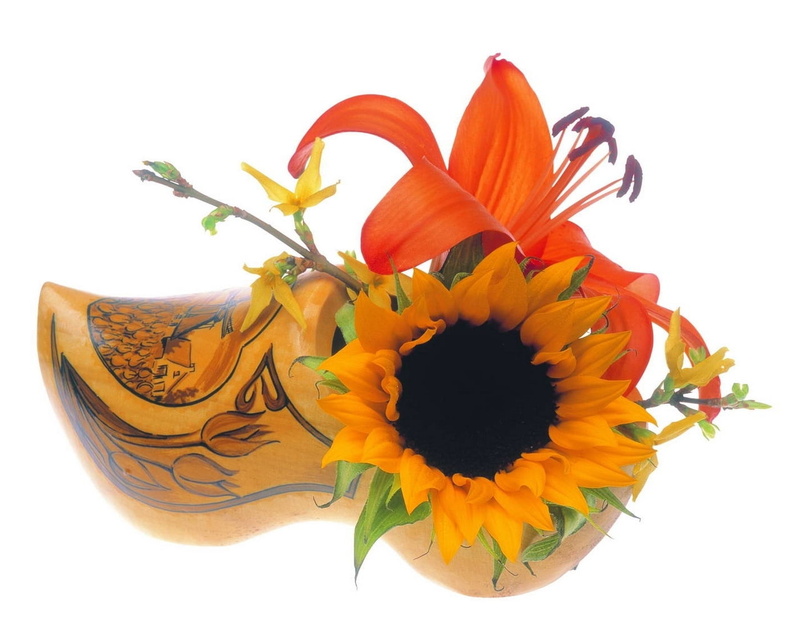 indoors, orange color, white background, close-up, sunflower, beauty in nature, wooden, freshness, no people, lily, yellow, brown, fragility, pollen, wooden shoe