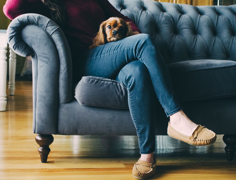 real people, pet owner, wooden, lady, pet, one person, dog, jeans, 4K, person, floor, sofa, couch, domestic, woman, lap, sitting, small, s, casual clothing