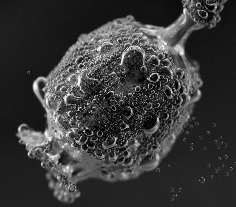 sphere, close-up, shape, healthcare and medicine, blubber, passed, soap sud, transient, poppy capsule, gas bubbles, beautiful, immersed, indoors, klatschmohn