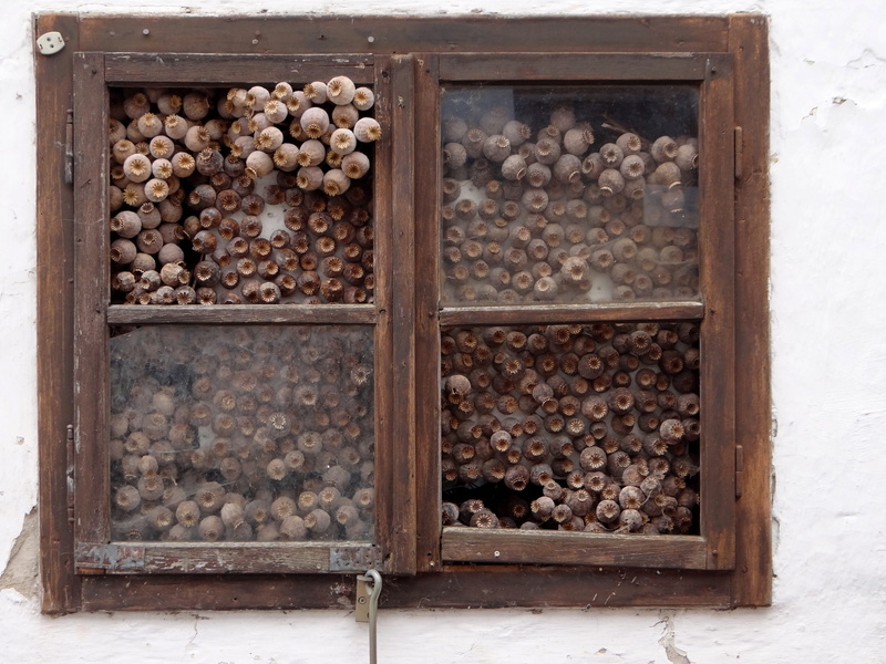 variation, food and drink, pattern, window, outdoors, day, stack, no people, wood - material, collection, seed capsules, store, poppy capsules, metal, solid