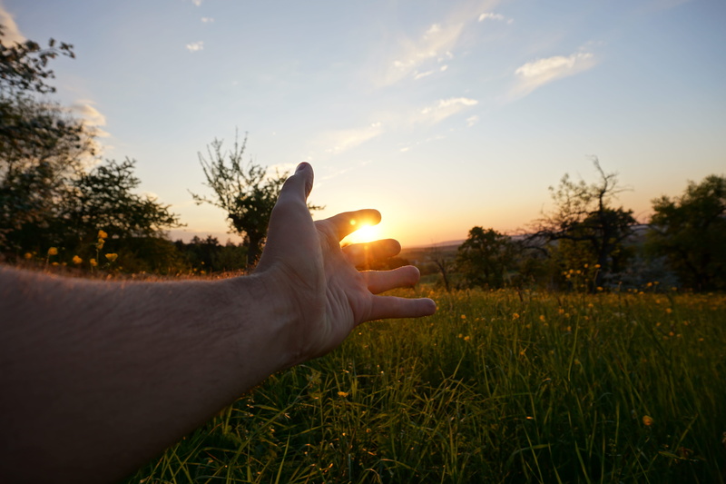 outdoors, tree, nature, boll, human hand, sunset, personal perspective, photography, plant, real people, focus, hand, sky, body part, leisure activity