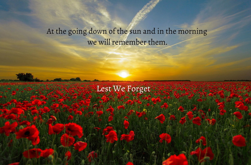 Holiday, Anzac Day, 1080P, Poppy, Field, Flower, Sunrise