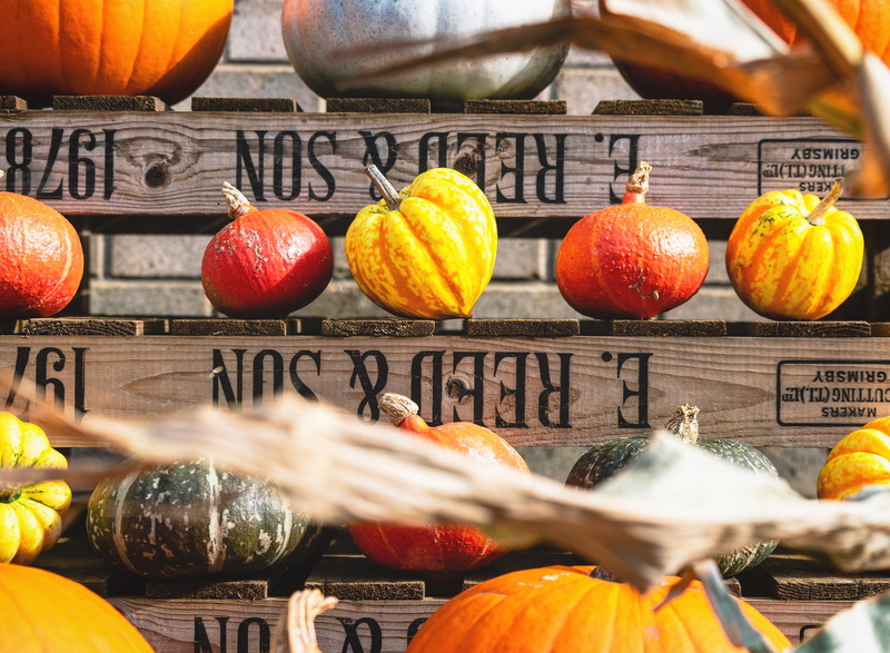 text, flora, pomegranate, poster, produce, no people, orange, vegetable, orange color, market stall, pumpkin, celebration, healthy eating, fruit, art, retail