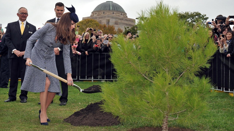 1080P, fashion, kate, widescreen, celebrities, celebrity, kate middleton, hollywood, middleton