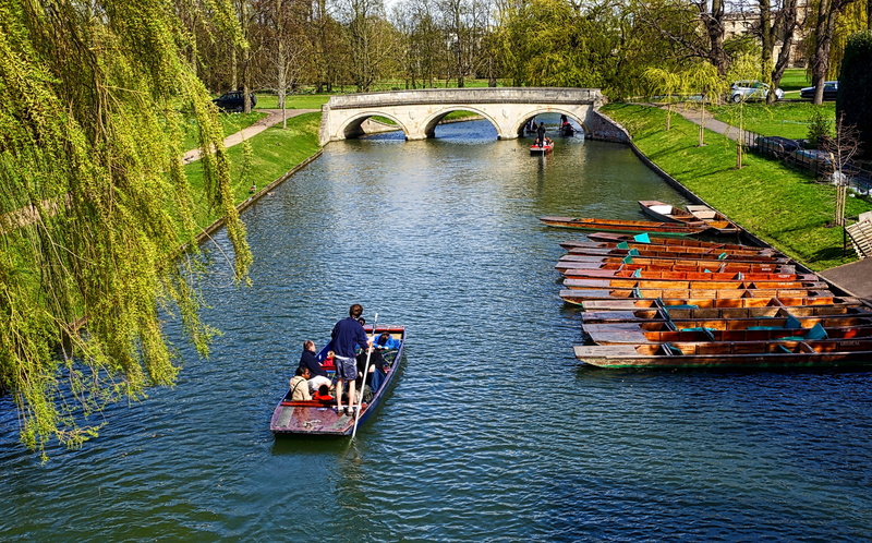 outdoors, bridge, people, water, nautical vessel, high angle view, cambridge, plant, arch, bridge - man made structure, architecture, riding, pole boat