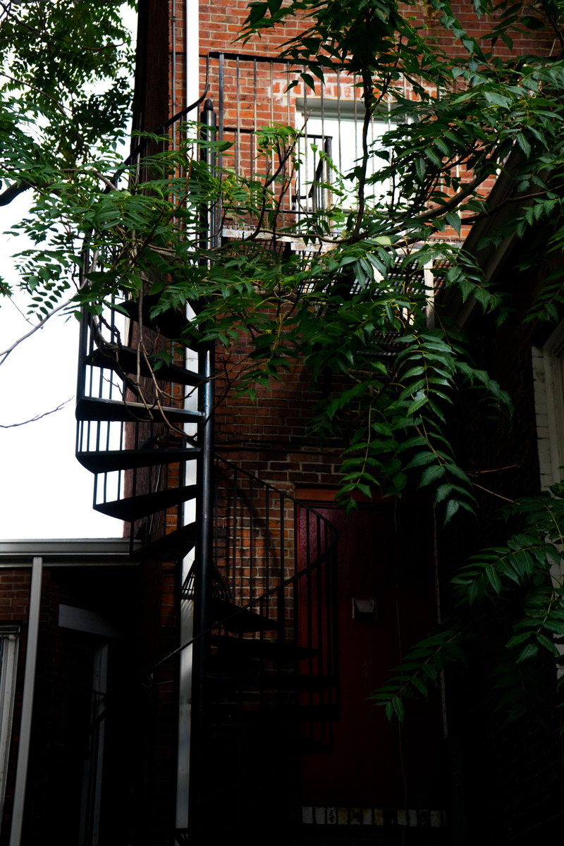 architecture, location, place, house, nature, harvard university, window, cambridge, day, tree, 5K, low angle view, no people, building exterior, city