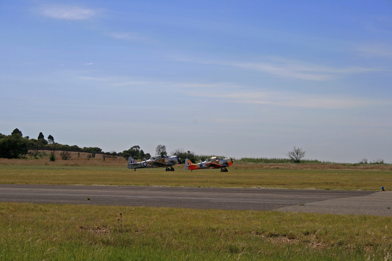 plant, air vehicle, nature, outdoors, airshow, day, land vehicle, airport, field, cloud - sky, environment, 4K, rural scene, sky, landscape, no people