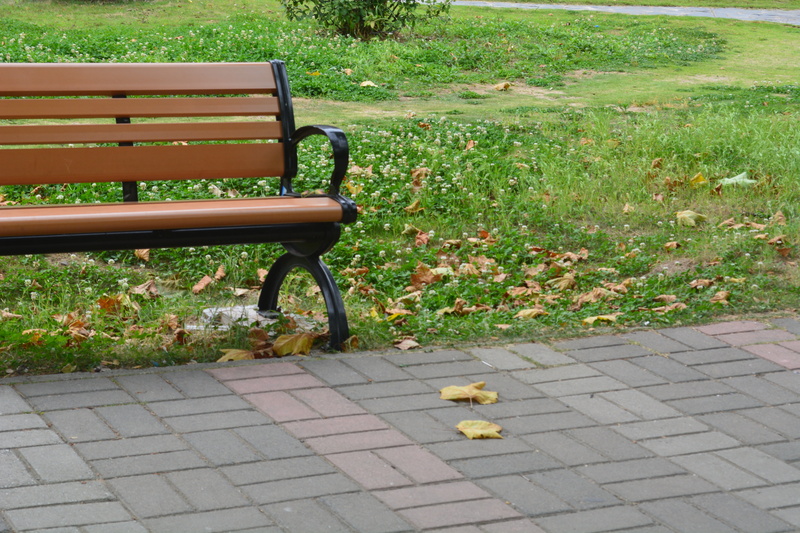 growth, grassland, plant, seat, flowering plant, day, absence, no people, leaf, park - man made space, public seating, green color, plant part, paving stone