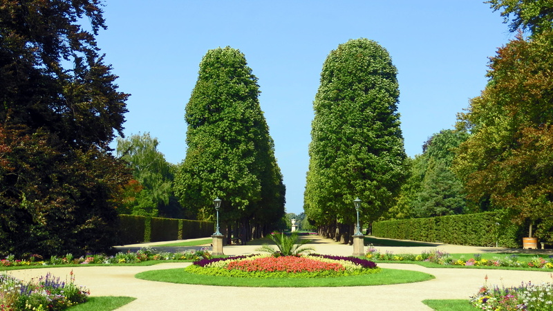flowering plant, park - Man Made Space, Castle Park, grass, tranquility, green area, green Color, park, nature, garden, tranquil scene, summer, beauty in nature
