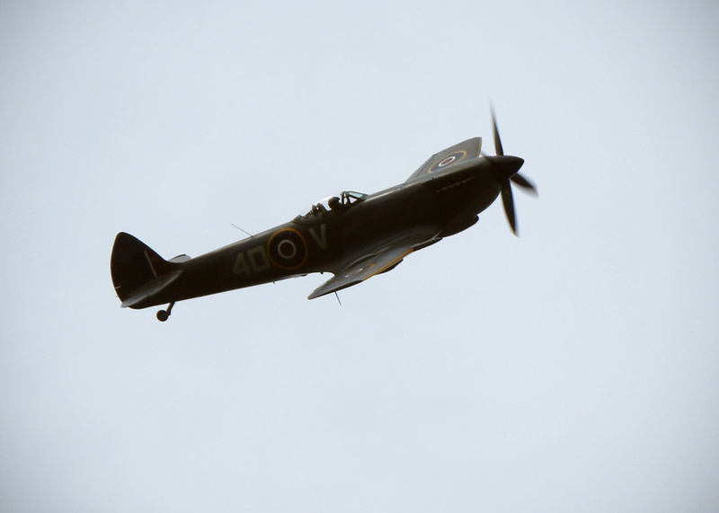 low angle view, military airplane, vintage, flying, raf, on the move, supermarine, pilot, day, fighter Plane, air Force, gray, armed Forces, wwii, nature