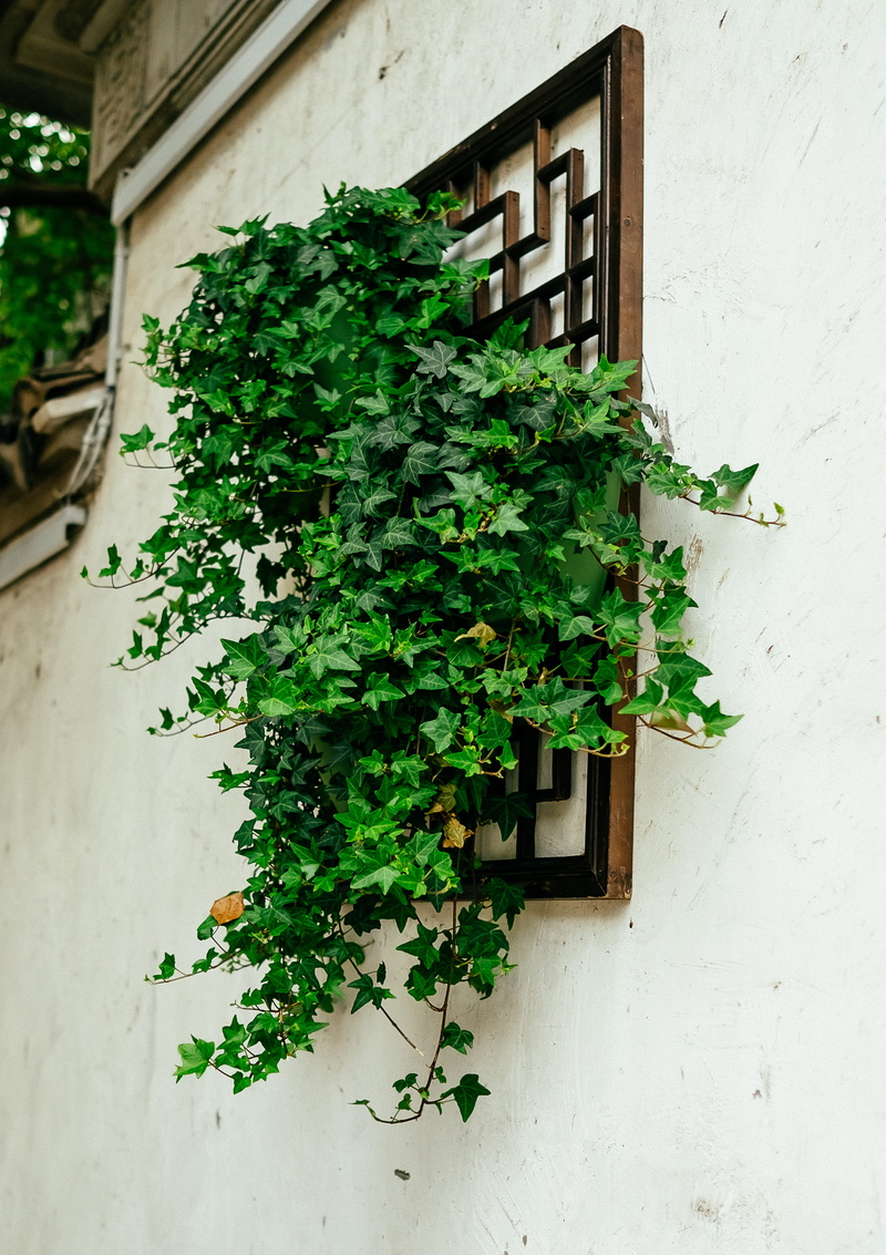 day, architecture, growth, flagstone, jar, brick, green, built structure, plant, banister, building exterior, planter, house, nature, bokeh, outdoors, growing