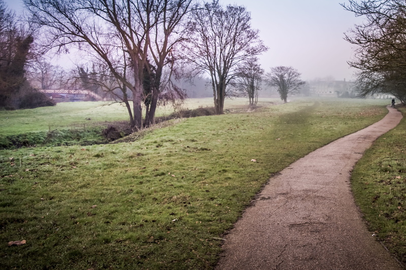 the way forward, scenics - nature, footpath, england, trees, green, environment, direction, walk, beauty in nature, way, sky, grass, english, no people