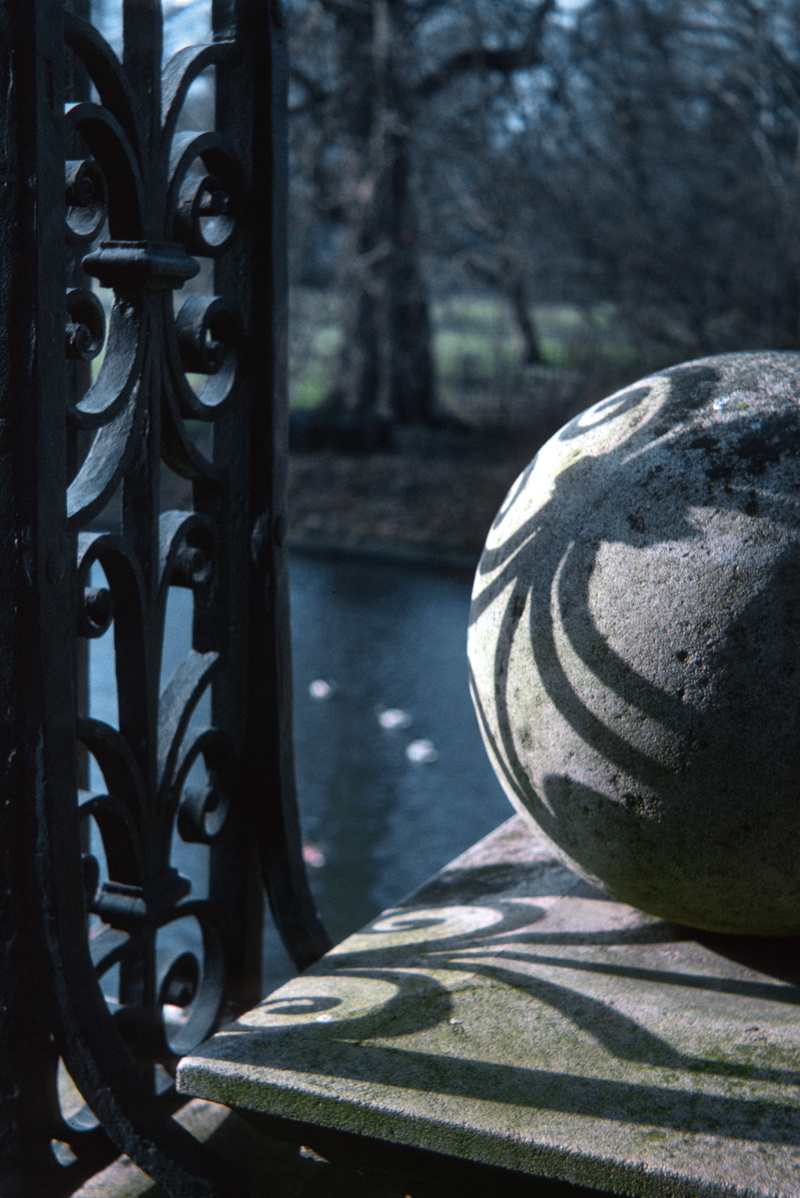 metal, boundary, wrought iron, day, college, black color, fence, pattern, focus on foreground, nature, close-up, tree, river, shadow, sunlight, outdoors
