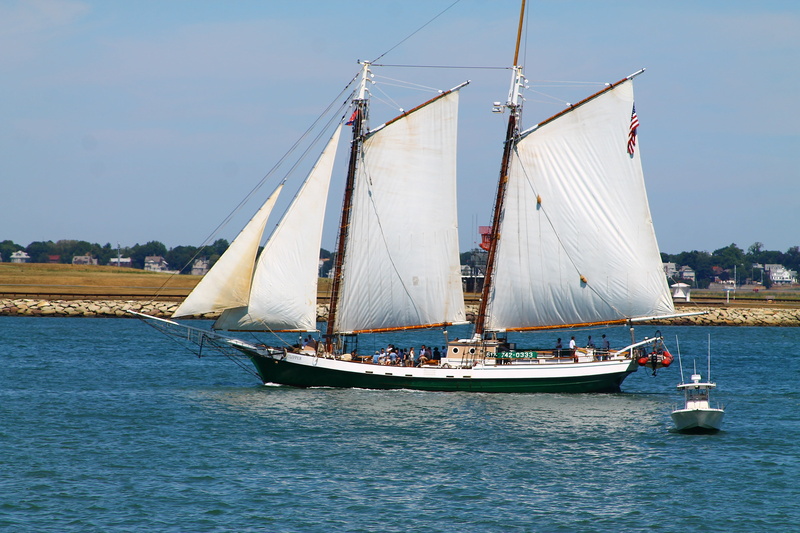 sky, sea, day, nautical vessel, nature, travel, outdoors, sailboat, schooner, sailing, waterfront, 4K, mode of transportation, boston harbor, yacht, canvas