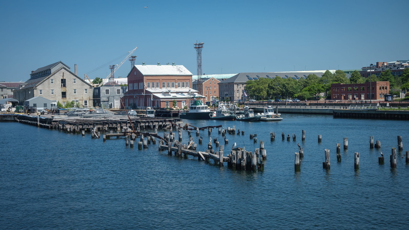 boston, boston harbor, outdoors, bird, sky, animals in the wild, city, united states, building, no people, nature, water, day, boating, harbor, 5K, animal wildlife