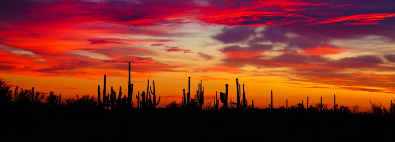 5K, cloud - sky, land, scenics - nature, orange color, dramatic sky, scottsdale, outdoors, united states, sunset, sky, silhouette, romantic sky, non-urban scene