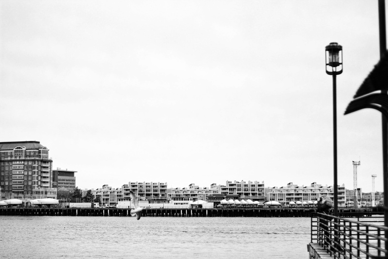 boston harbor, nature, united states, street light, sky, 4K, photographer, day, lighting equipment, architecture, boston, building exterior, water, black and white