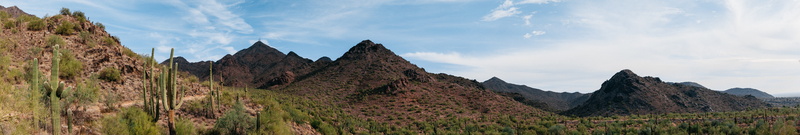 mountain, outdoors, travel, nature, day, cactus, no people, environment, formation, land, cloud - sky, park, forest, arizona, desert, travel destinations