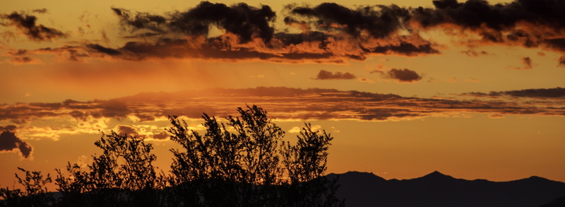 Sunset, Scottsdale, panorama, unitedstates, Scenery, tree, Arizona, 2K, Nature, msh0413, Orange, idyllic, Mountains, Sun and Sky, msh041317, cloud - sky