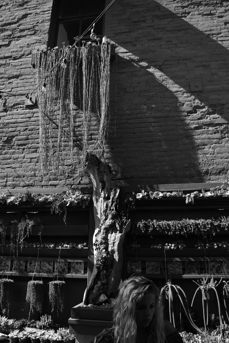water, 5K, coffee shop, united states, day, spirituality, oceanside, outdoors, wood - material, old, religion, no people, built structure, place of worship