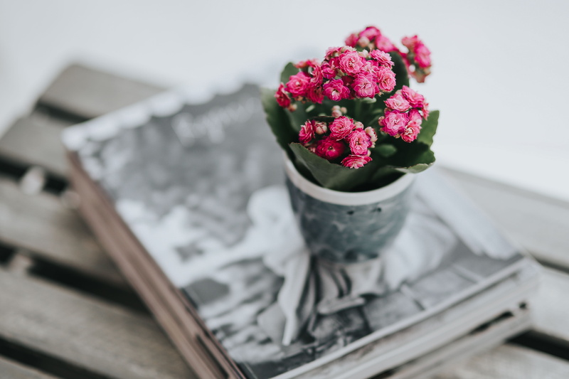 flowers, flower head, plant, bunch of flowers, still life, 5K, indoors, selective focus, flora, items, bouquet, flower arrangement, freshness, vase, table