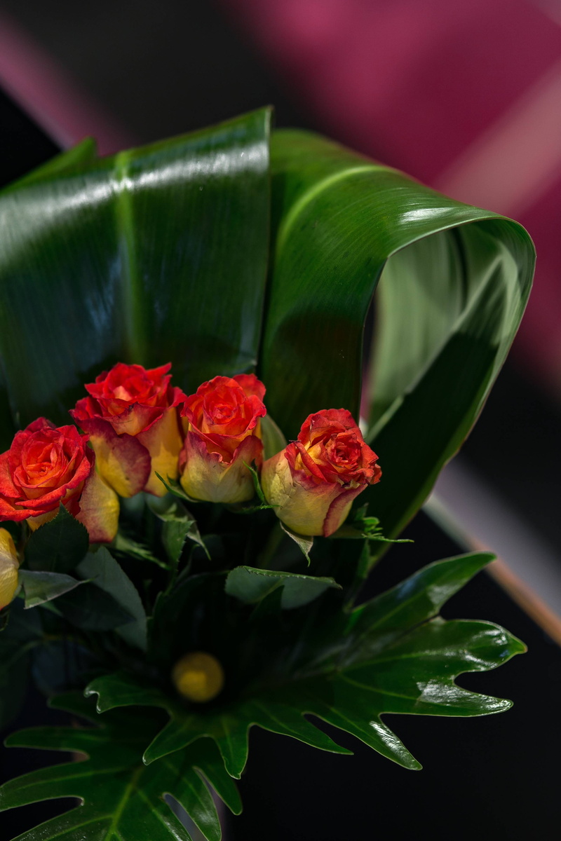 little red, yellow, leaf, plant part, flower, red, Close-up, petal, no people, flowering plant, fragility, rose - Flower, flora, nature, flower arrangement