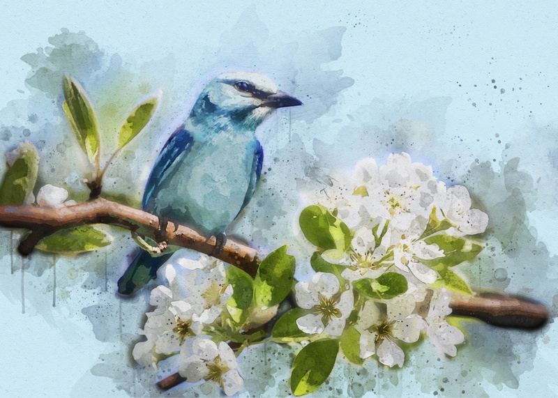 animal wildlife, feathered, high angle view, flowering plant, spring, blue, animal, animals in the wild, animal themes, vertebrate, outdoors, cherry blossom