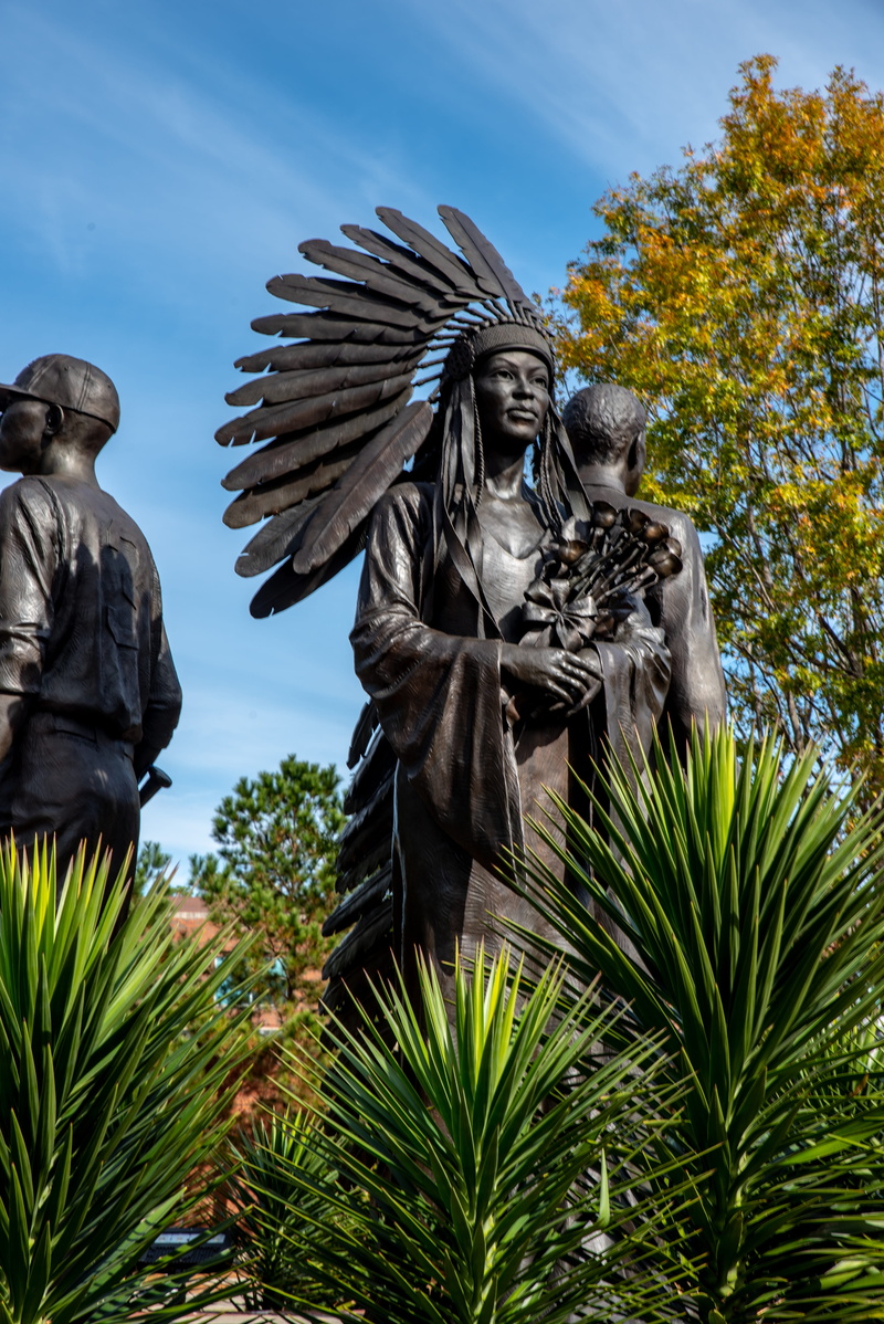 green color, sky, palm tree, nature, outdoors, statues, 5K, growth, stanley proctor, statue, fsu, bronze sculpture, human representation, florida state campus