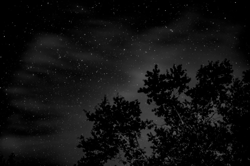 beauty in nature, star - space, low angle view, space, nature, universe, cloud, star, astronomy, silhouette, tree, landscape, moon, tranquil scene, no people