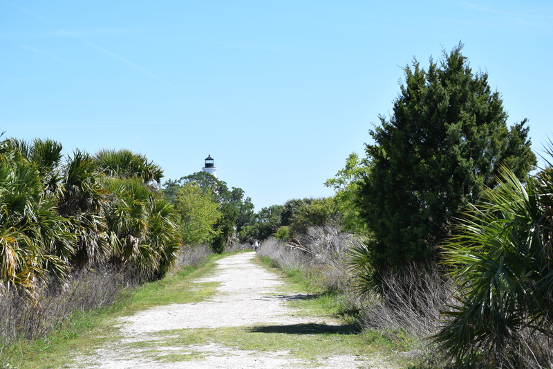 palm, wildlife, no people, direction, outdoors, wild, sky, footpath, united states, the way forward, national wildlife refuge, green color, treelined, crawfordville