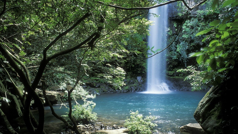 water, waterfall, nature, magic, 1080P, jungle, beautiful, 3d and abstract, peaceful, forest