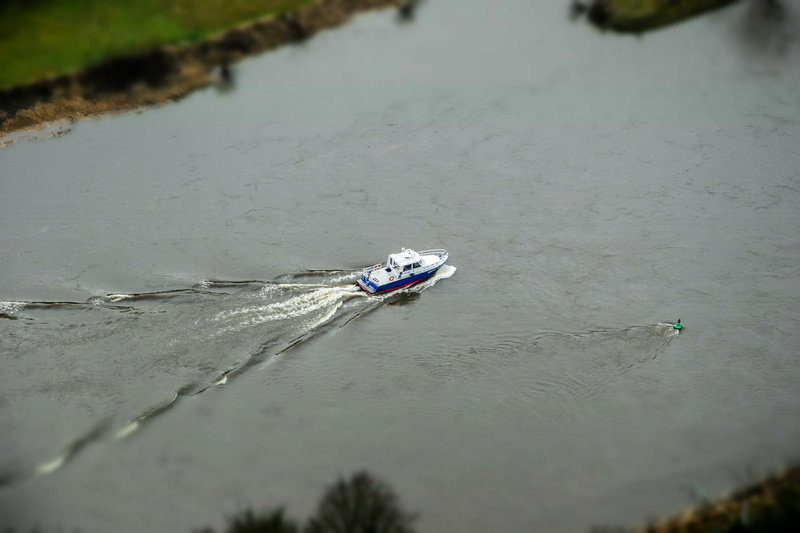 tranquility, river, reflection, one animal, high angle view, selective focus, boot, nautical vessel, nature, yacht, water, outdoors, day, animal, no people