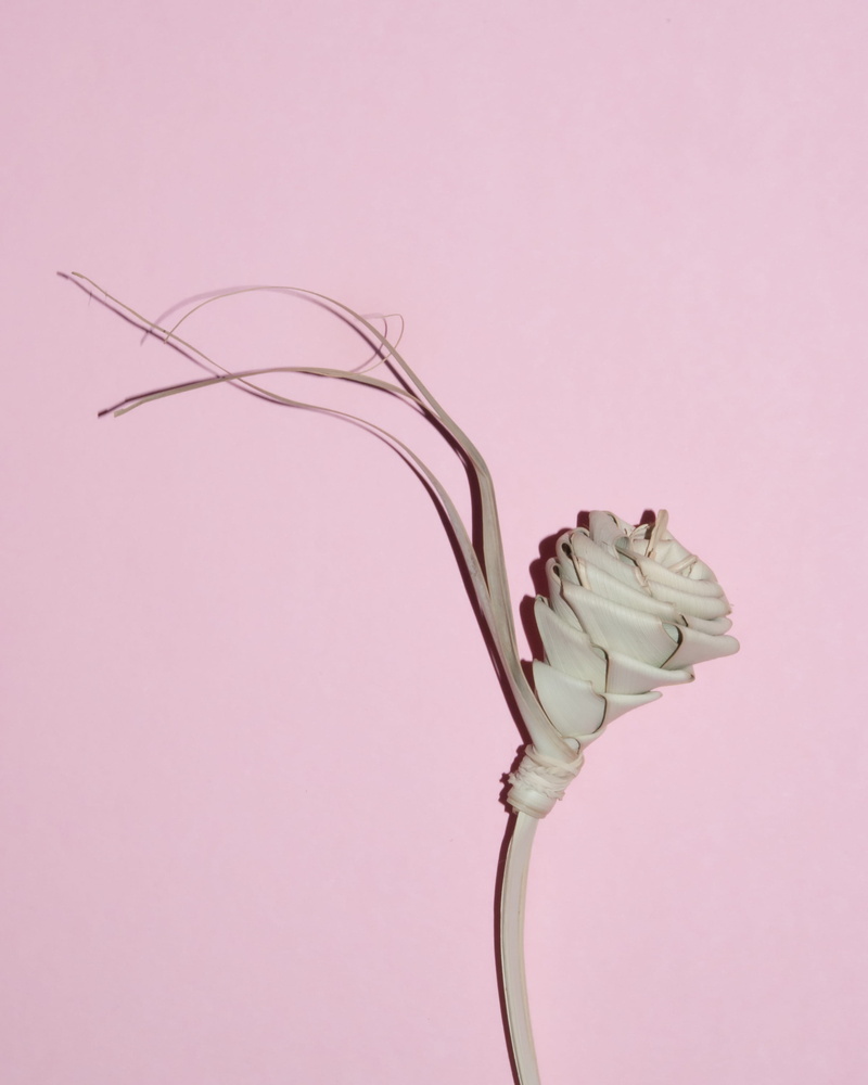 no people, food and drink, vegetable, meal, cream, pink color, cake, indoors, plant stem, produce, petal, rose, dish, still life, icing, bird, dessert