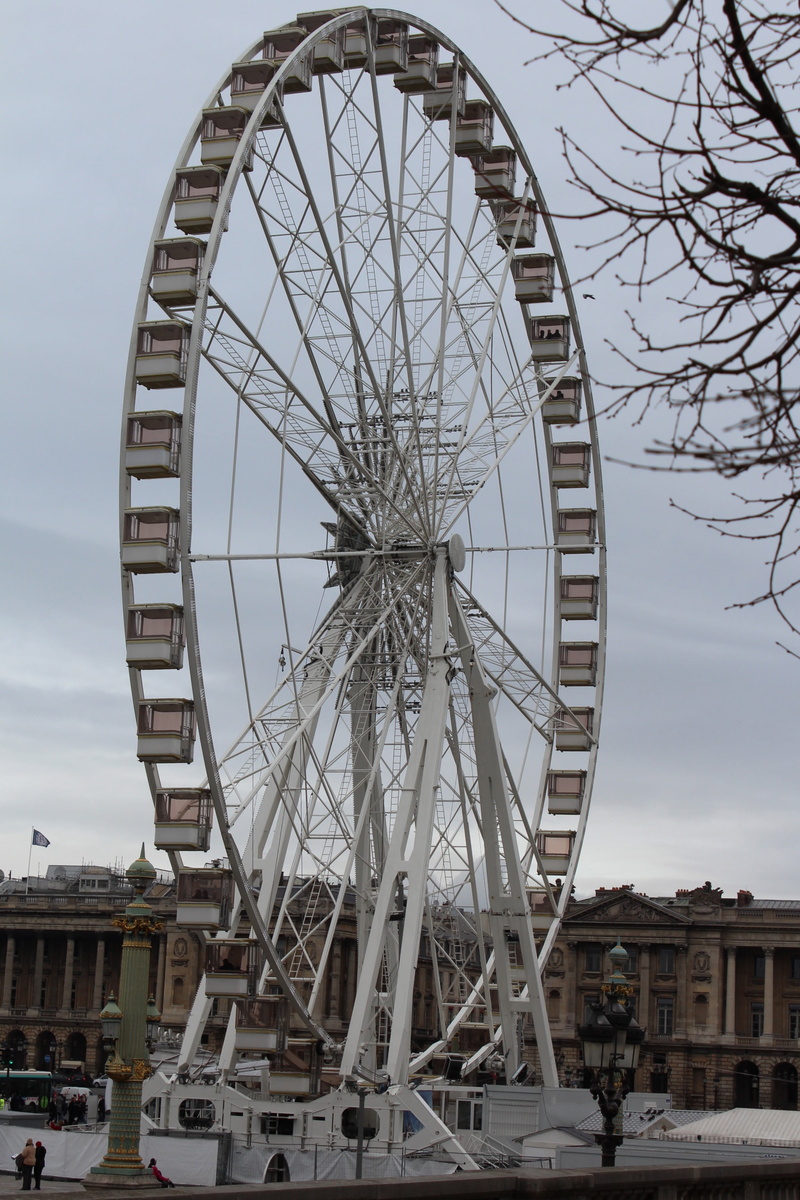 no people, fun, outdoors, large, amusement park ride, entertainment, amusement park, bare tree, geometric shape, paris, measurable space, tree, wheel, ferris wheel