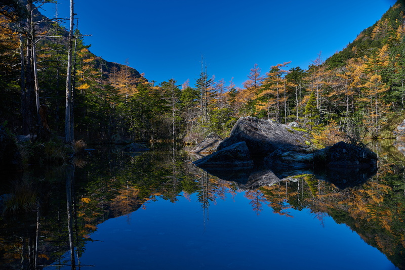 tree, nature, clear sky, sky, green, plant, non-urban scene, japan, blue, natural, mother nature, beauty in nature, tranquility, lake, tranquil scene, kamikochi