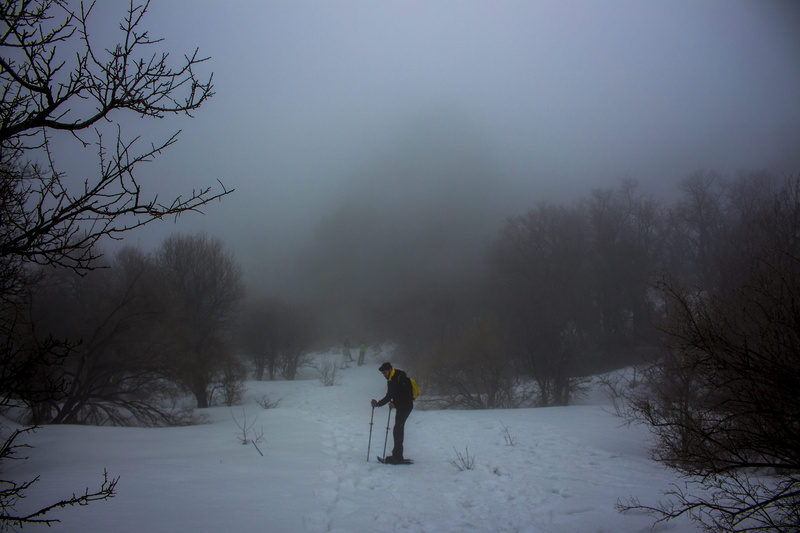 one person, leisure activity, snow, tree, non-urban scene, full length, lebanon, 5K, cold temperature, winter, warm clothing, scenics - nature, land, nature